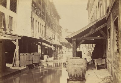 [Garveri vid stranden av Bièvre] / [Bièvre och garverierna, nu en avloppsledning för suterrängvatten]. av Charles Marville