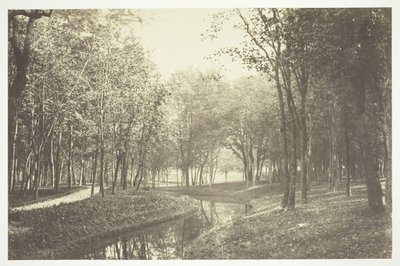 Utan titel, c. 1850. [Träd nära vatten i Bois de Boulogne, en park i Paris]. av Charles Marville