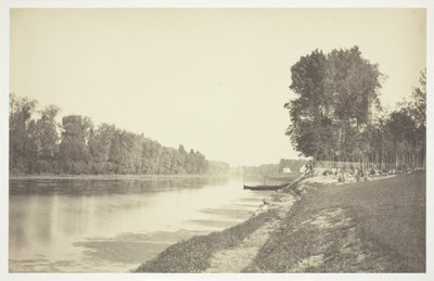 Utan titel, c. 1850. [Träd nära vatten i Bois de Boulogne, en park i Paris]. av Charles Marville