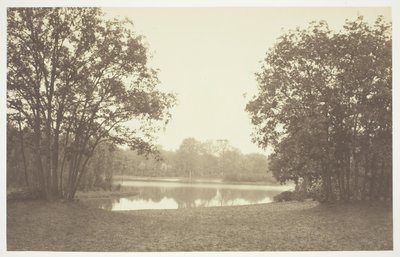 Utan titel, c. 1850. [Träd nära vatten i Bois de Boulogne, en park i Paris]. av Charles Marville