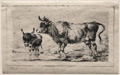 Ko och åsna, 1849. av Charles Meryon