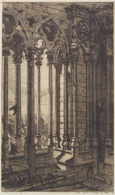 Galleriet i Notre-Dame av Charles Meryon