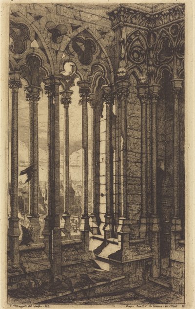 Notre-Dame-galleriet, Paris av Charles Meryon