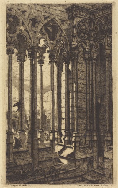 Notre-Dame-galleriet, Paris av Charles Meryon