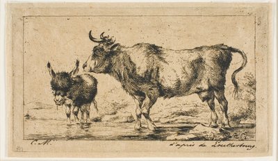 Cow and Ass av Charles Meryon