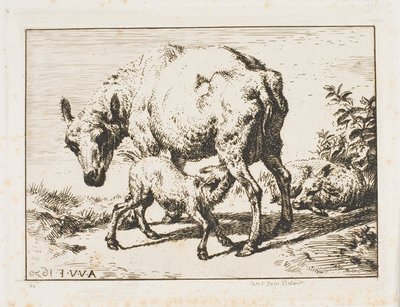 Tackan med två lamm av Charles Meryon