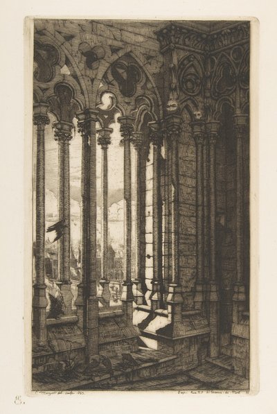 Galleriet, Notre-Dame-katedralen, Paris, ur ”Etsningar från Paris” av Charles Meryon
