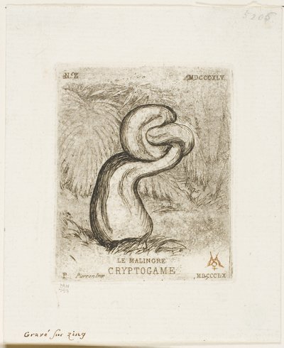 swedish av Charles Meryon
