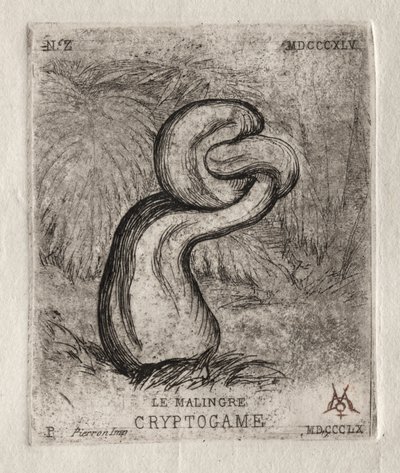 The Sickly Cryptogam, 1860. av Charles Meryon