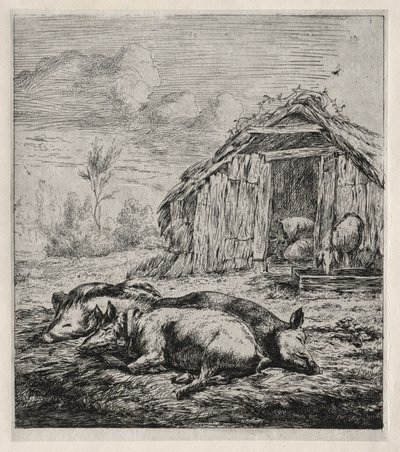 Tre svin som ligger framför en sti, 1850. av Charles Meryon