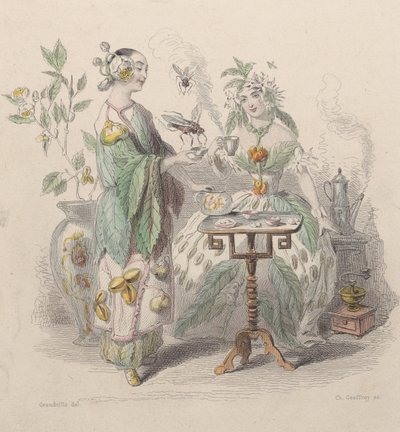 Te och kaffe, från Les Fleurs Animées, 1847. av Charles Michel Geoffroy