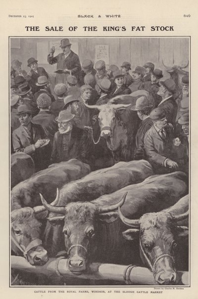 Boskap från de kungliga gårdarna i Windsor till försäljning på Slough boskapsmarknad, Berkshire (litho) av Charles Mills (after) Sheldon
