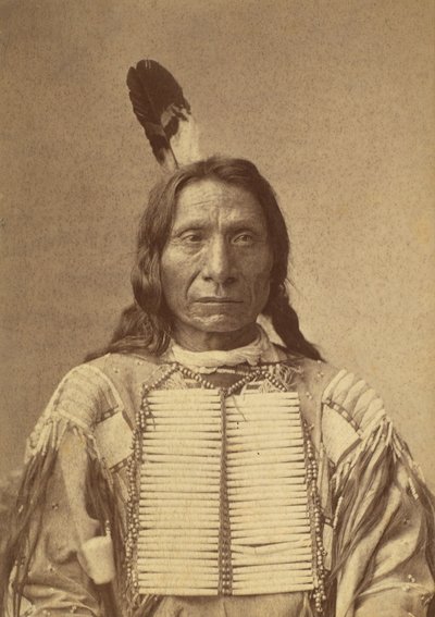 Mahpiya Luta Röda molnet, 1880. av Charles Milton Bell