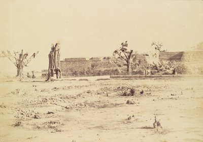Kargt landskap med en oidentifierad fästning, Delhi av Charles Moravia