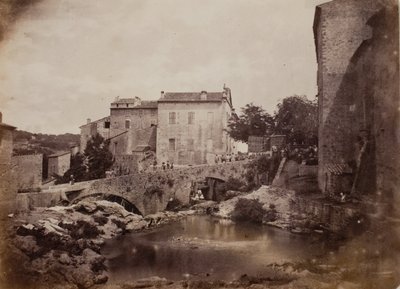 Grasse av Charles Nègre