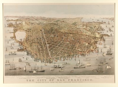 Staden San Francisco - Fågel av Charles Parsons
