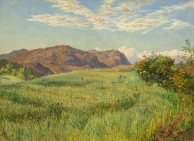 En Highland Oatfield av Charles Parsons Knight