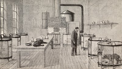 Hundar i burar i Louis Pasteurs (1822-1895), fransk kemist och biolog, laboratorium, Paris, Frankrike, gravyr från L