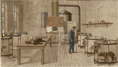 Hundar i burar i Louis Pasteurs laboratorium av Charles Paul Renouard