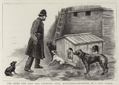 Hemmet för vilsna och svältande hundar, Battersea, tar in en nykomling av Charles Paul Renouard