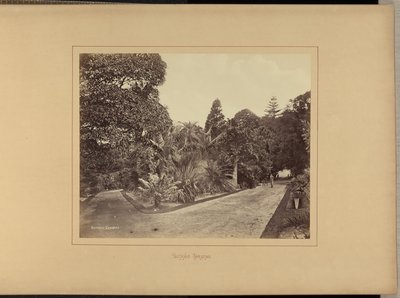 Botaniska trädgården av Charles Percy Pickering