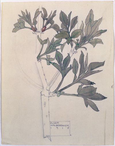 Elder, Walberswick, 1915 (wc & pencil on paper) av Charles Rennie Mackintosh