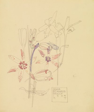 Ixias av Charles Rennie Mackintosh