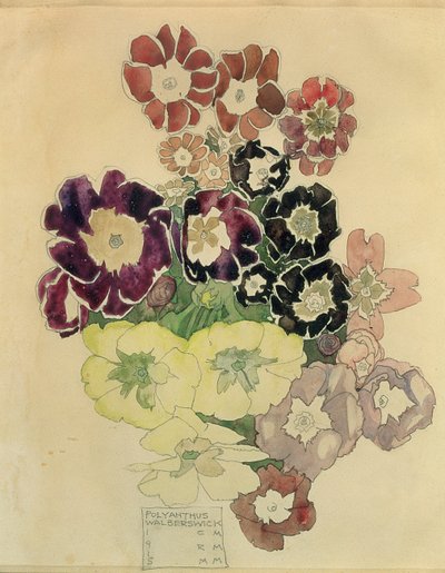 Polyanthus, Walberswick, 1915  av Charles Rennie Mackintosh