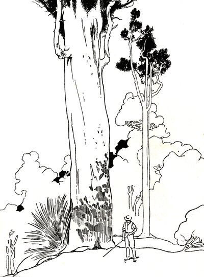 Ett Kauri-träd, 1912 av Charles Robinson