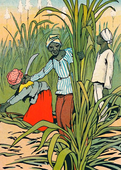 At Work Among The Sugar-Canes, 1912 av Charles Robinson
