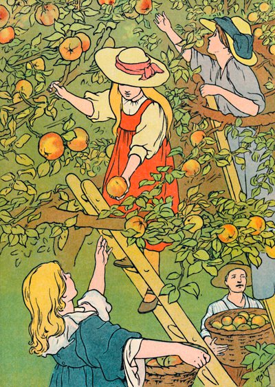Plocka frukten, 1912 av Charles Robinson