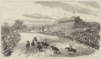 Alexandra Park Races, Muswell Hill av Sir John Charles Robinson
