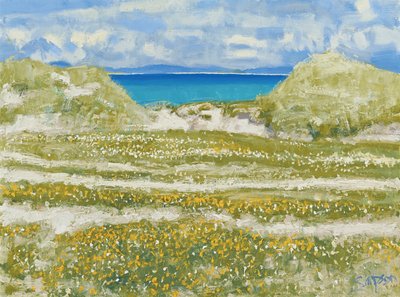 Glimpse of Harris, 2014 (olja på duk) av Charles Simpson