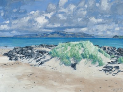 Rocks  Grasses, Iona, 2013 (olja på duk) av Charles Simpson