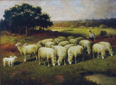 En herde med sina får ute på fältet, 1898 av Charles T. Phelan