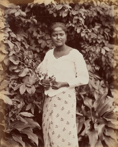 Singalesiska av Charles T. Scowen