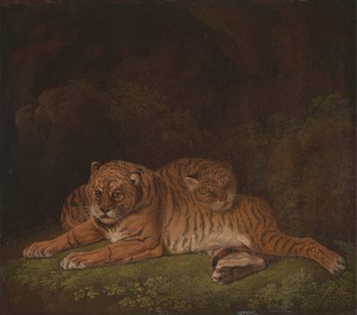 Tigrar av Charles Towne