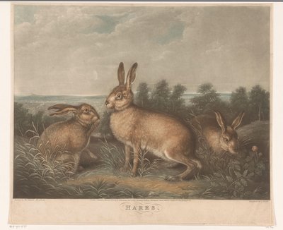 Tre töcken Harar (titel på föremål) av Charles Turner