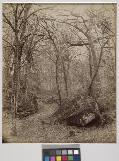 Fontainebleau, ca 1870 (albumintryck) av Charles Victor Famin