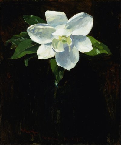 Magnolia av Charles Walter Stetson