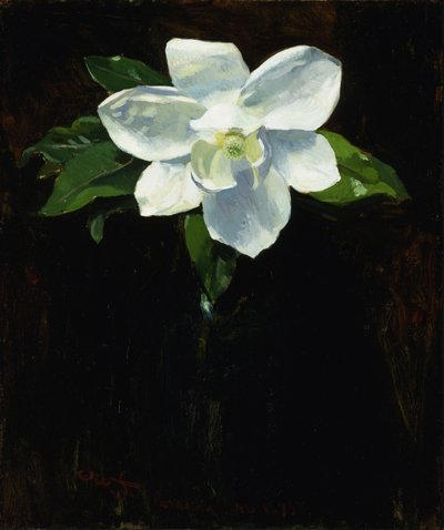 Magnolia, 1895. av Charles Walter Stetson