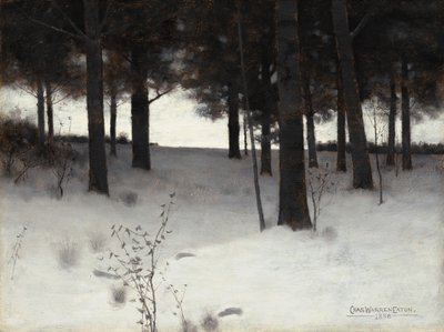 Skogen på vintern av Charles Warren Eaton