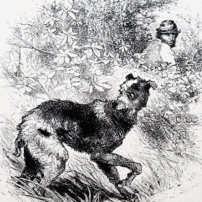 En tjuvjägare med sin lurcher av Charles Whymper