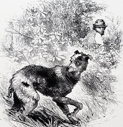 En tjuvjägare med sin lurcher av Charles Whymper
