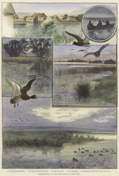 Ankskytte på Long Point Island av Charles Whymper