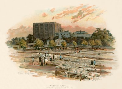 Norwich slott av Charles Wilkinson