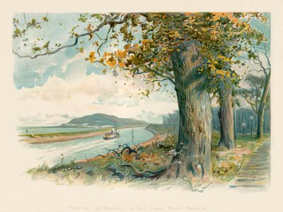 Utsikt över Manchesters skeppskanal - Mount Manisty av Charles Wilkinson