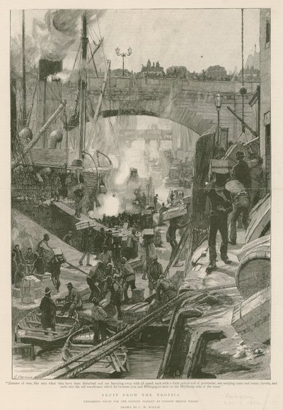 Frukt från tropikerna (gravyr) av Charles William Wyllie