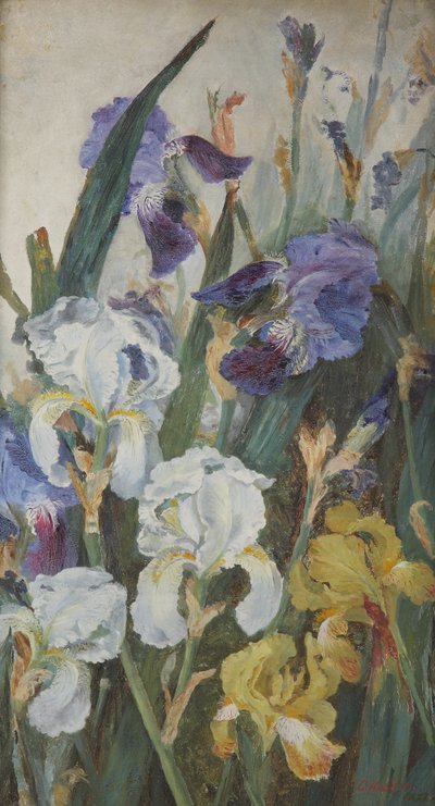 Iris, 1882 av Charlotte Hodder