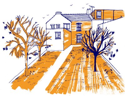 Trädgård, 2020 av Charlotte Orr